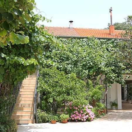Apartments With A Parking Space Bibinje, Zadar - 18843 المظهر الخارجي الصورة